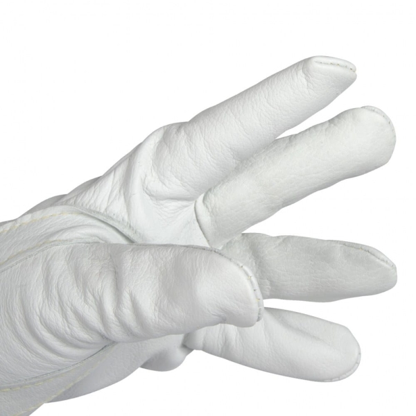 8f82d05cbc48a3b41992ccc4a3158e07